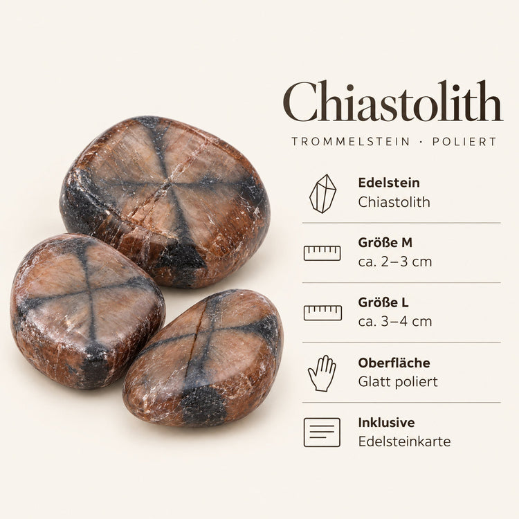 Steckbrief Chiastolith Trommelstein – Größe M ca. 2–3 cm, L ca. 3–4 cm