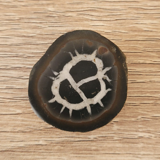 #17 Septarie, poliert | Instagram Live