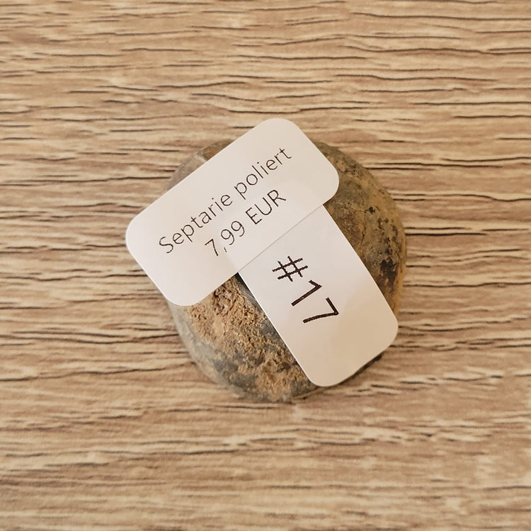 #17 Septarie, poliert | Instagram Live