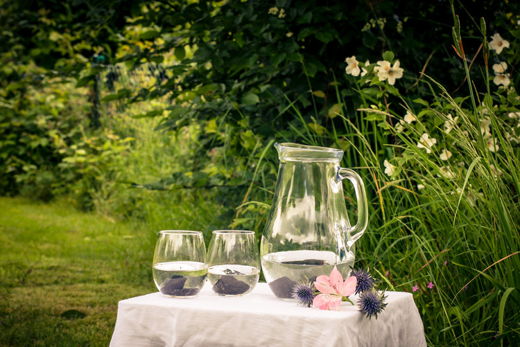 Schungit Wassersteine