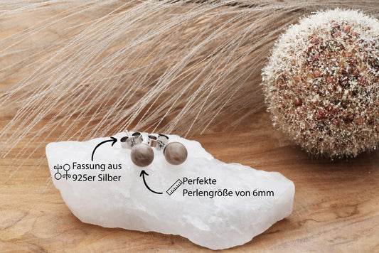 Versteinertes Holz Ohrstecker 6 mm | 925er Silber
