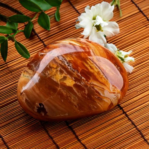 A-Z Versteinertes Holz