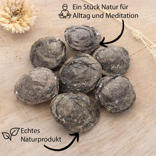 Biotit Linse