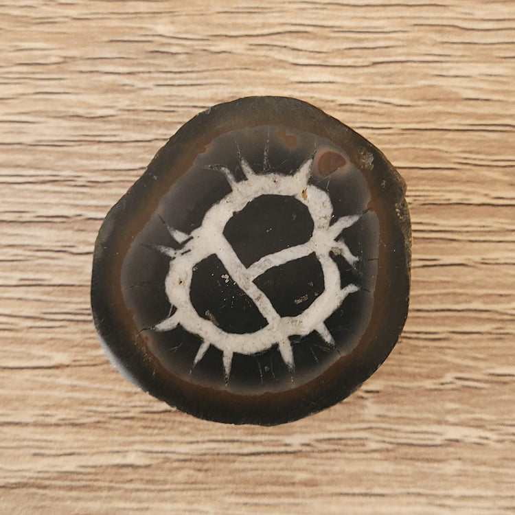 #17 Septarie, poliert | Instagram Live