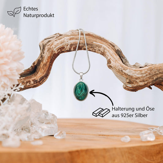PT03 (von Amazon uebernommen)