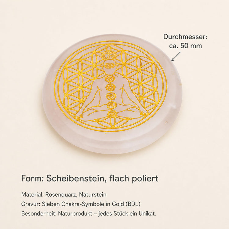PT02 (von Amazon uebernommen)