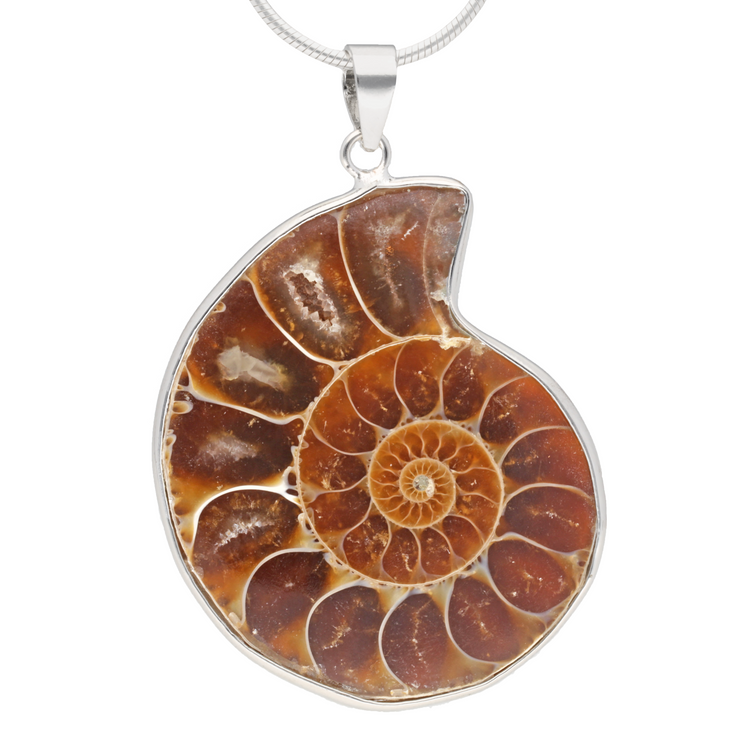Pendentif Ammonite 2-3 cm | Fossile naturel avec bélière en argent 925 | Cordon en coton noir inclus