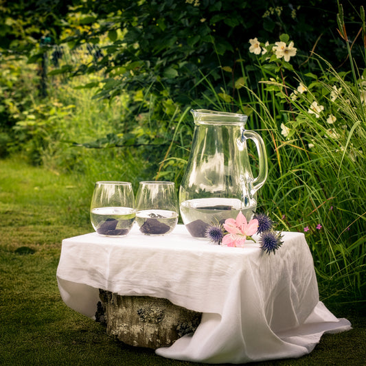 Schungit Wassersteine