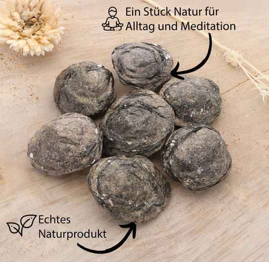 Biotit Linse