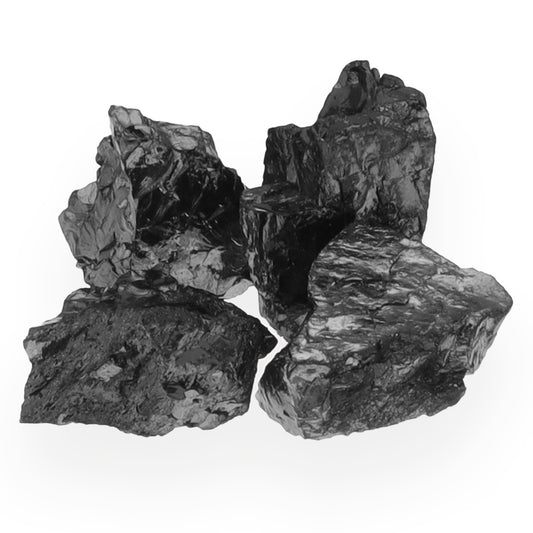 Edelschungit Wassersteine | 2-4 Steine | 25g