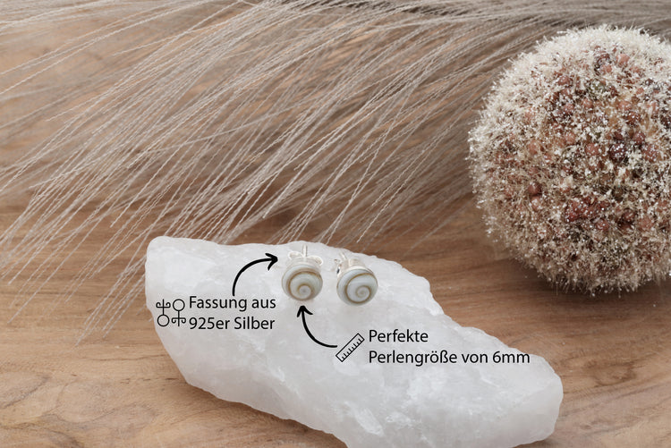 Operculum Ohrstecker 6 mm | 925er Silber