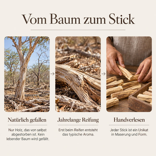 Räucherset Weißer Salbei und Palo Santo