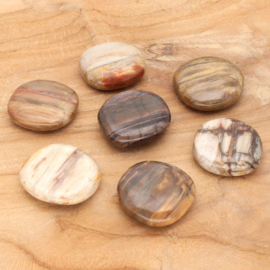 Versteinertes Holz Scheibenstein